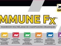 IMMUNE FX, Organic Mushroom Blend